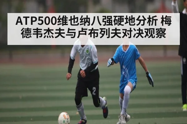 ATP500维也纳八强硬地分析 梅德韦杰夫与卢布列夫对决观察