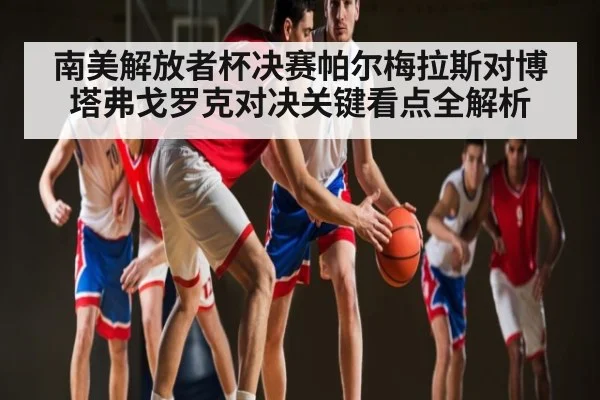 南美解放者杯决赛帕尔梅拉斯对博塔弗戈罗克对决关键看点全解析